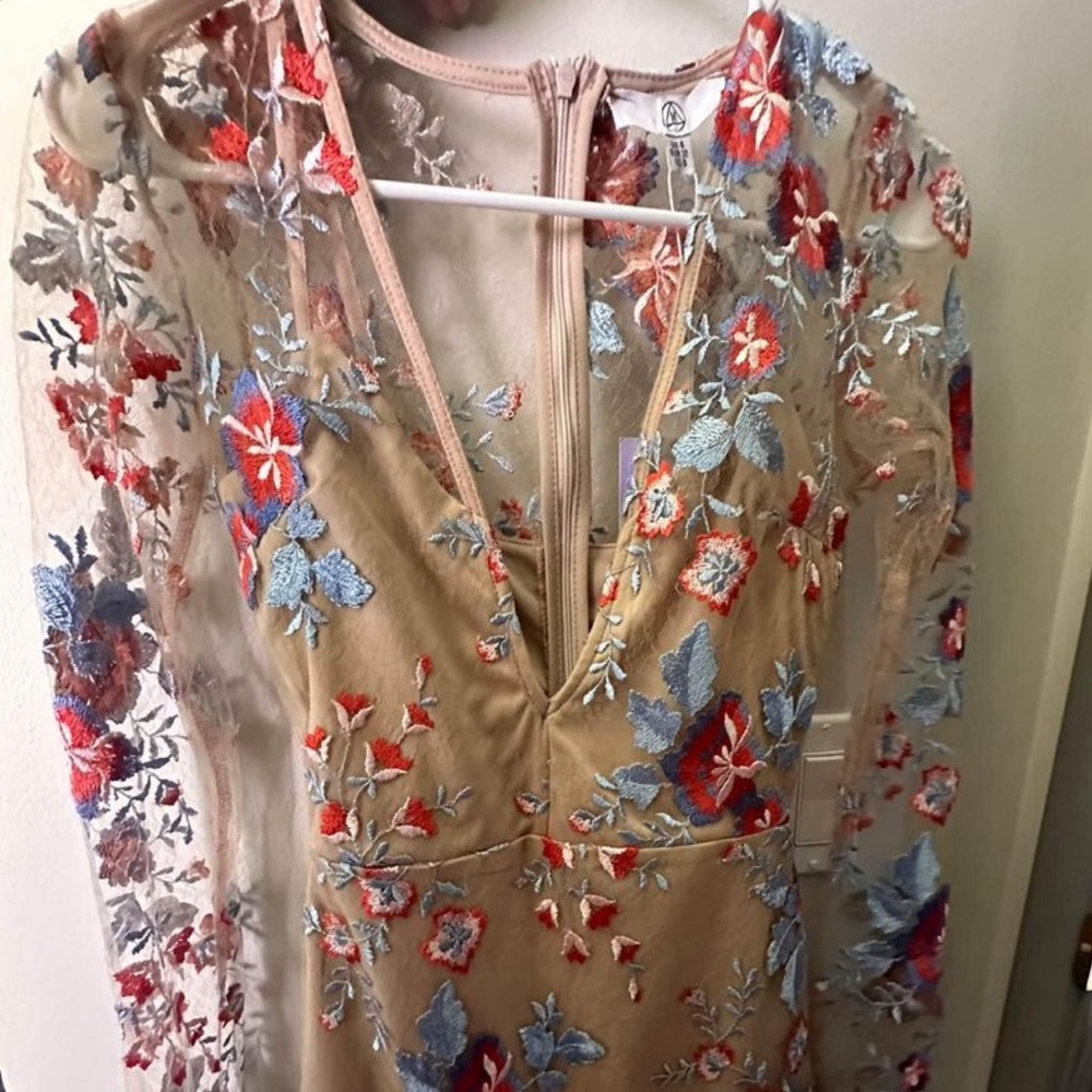 Mini bodycon embroidered floral mesh dress